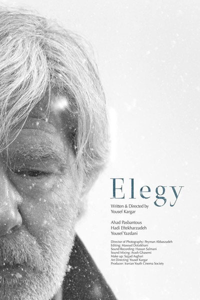 Póster de Elegy