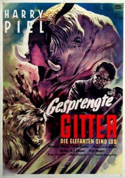 Póster de Elephant Fury