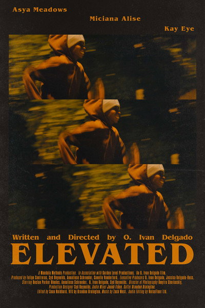Póster de Elevated