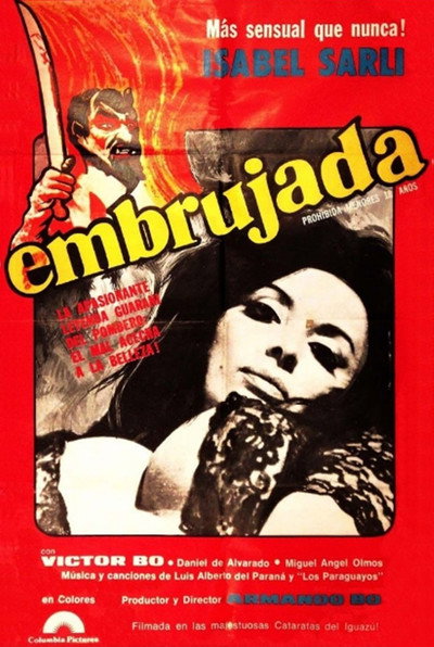 Póster de Embrujada