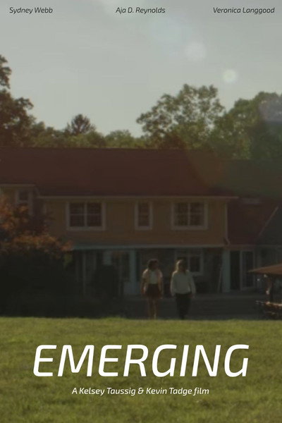Póster de Emerging