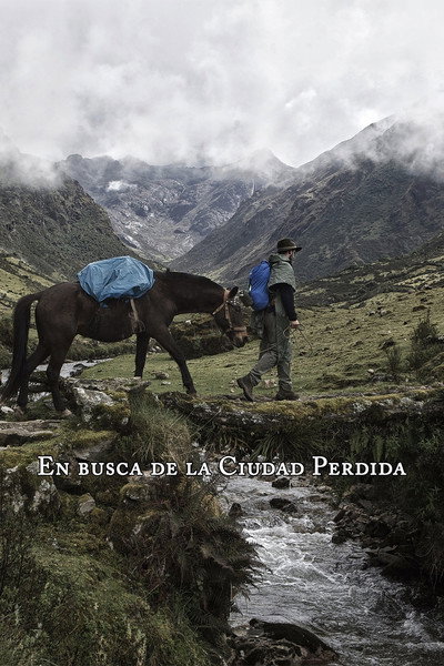 Póster de En busca de la Ciudad Perdida