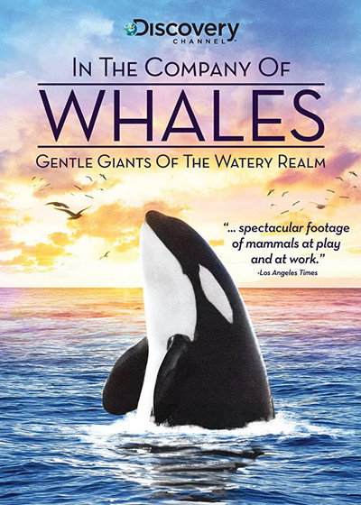 Póster de En compañía de ballenas