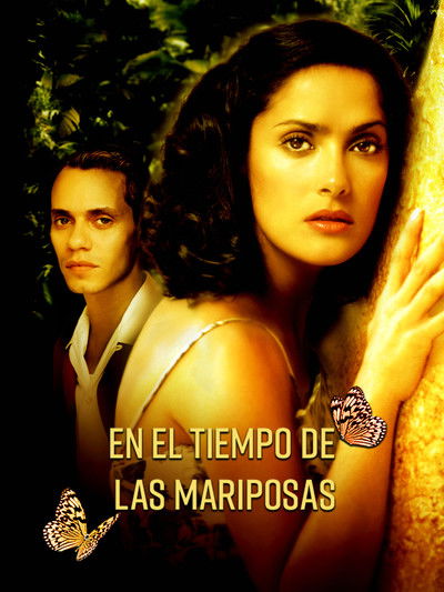 Póster de En el tiempo de las mariposas