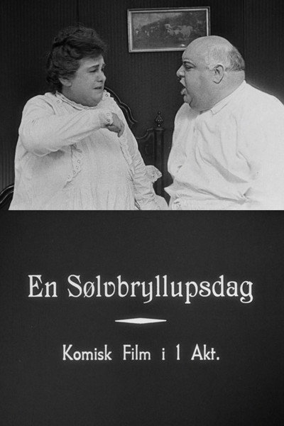 Póster de En Sølvbryllupsdag