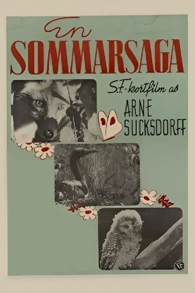 Póster de En sommarsaga