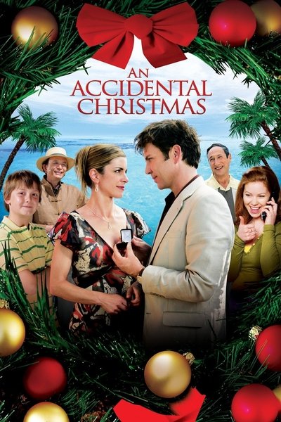 Póster de Encuentro accidental