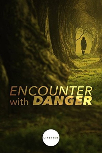 Póster de Encuentro con el peligro