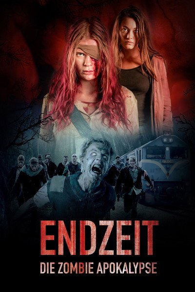 Póster de Endzeit