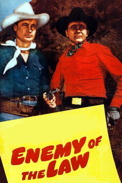 Póster de Enemy of the Law