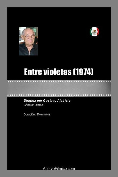 Póster de Entre violetas