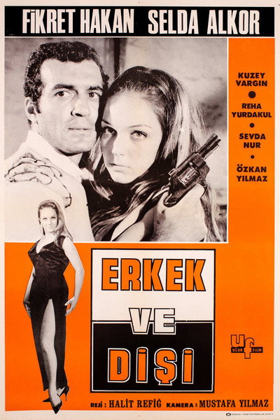 Póster de Erkek ve disi