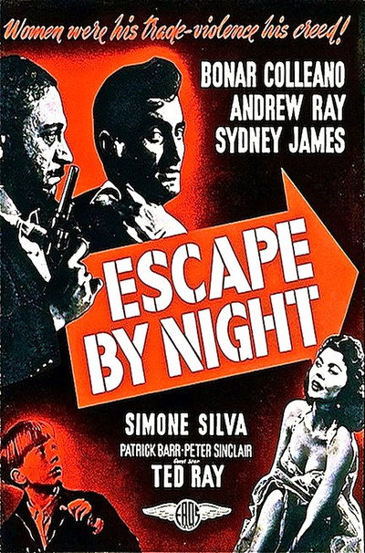 Póster de Escape by Night