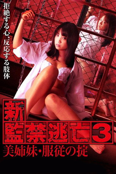 Póster de Escape Captivity 3: The Beautiful Sisters' Law of Submission