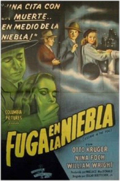 Póster de Escape in the Fog
