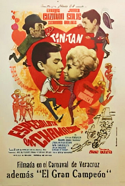 Póster de Especialista en chamacas