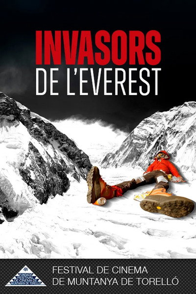 Póster de Everest Invaders