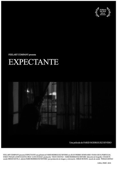 Póster de Expectante