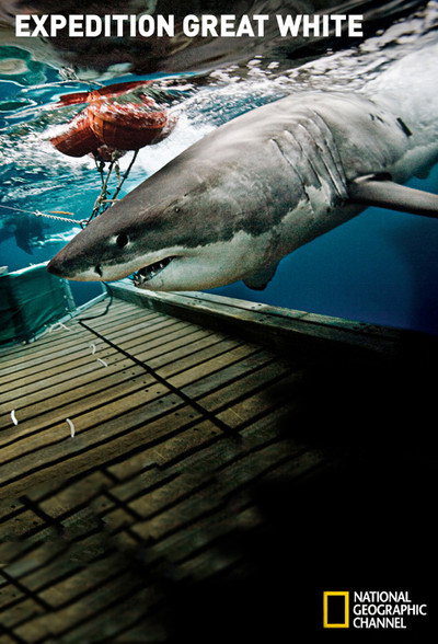 Póster de Expedition Great White