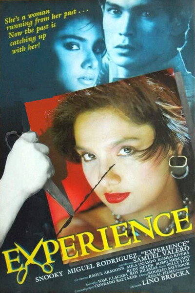 Póster de Experience