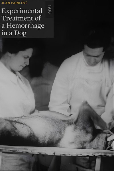 Póster de Experimental Treatment of a Hemorrhage in a Dog