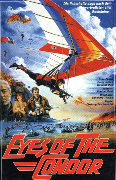 Póster de Eyes of the Condor