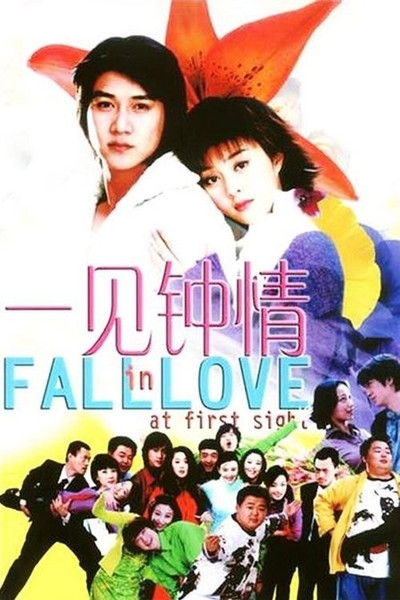 Póster de Fall in Love at First Sight