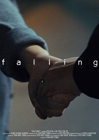 Póster de Falling