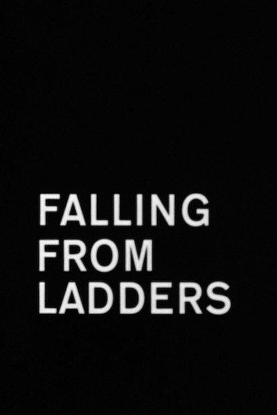 Póster de Falling from Ladders