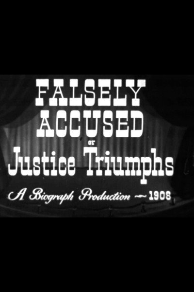 Póster de Falsely Accused!