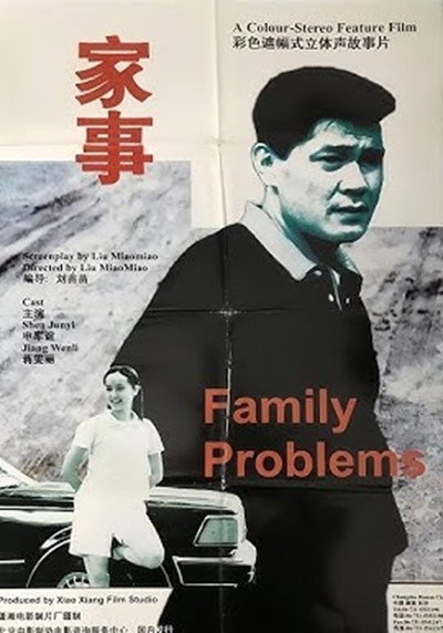 Póster de Family Problems