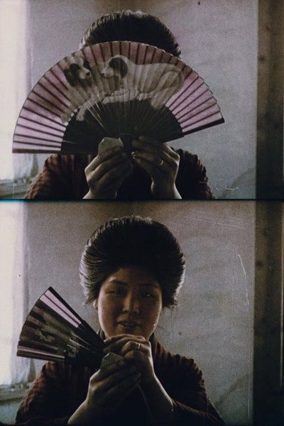 Póster de Fan in Japan