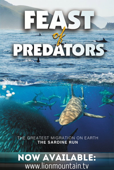Póster de Feast of Predators