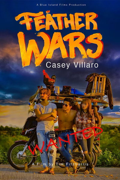 Póster de Feather Wars