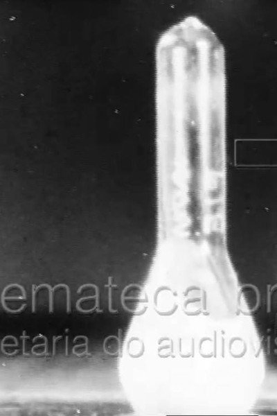 Póster de Febre Amarela I