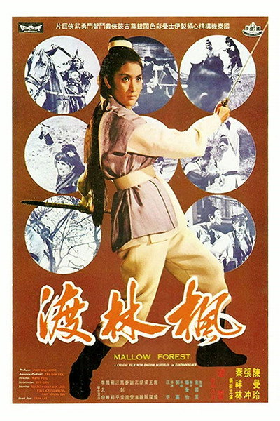 Póster de Feng lin du