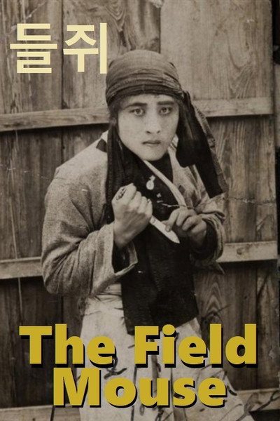 Póster de Field Mouse