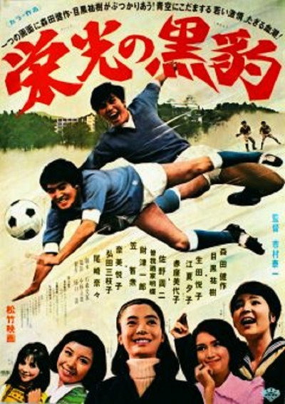 Póster de Fight for the Glory