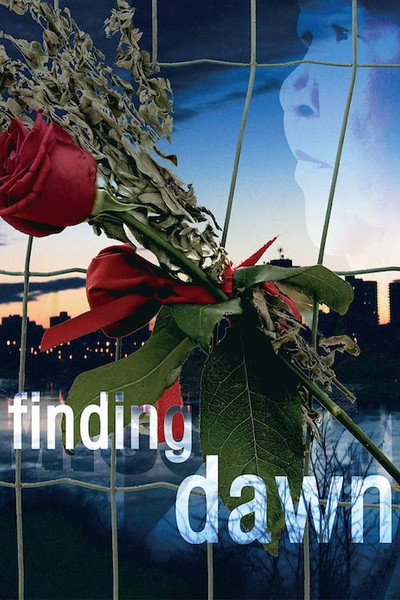 Póster de Finding Dawn
