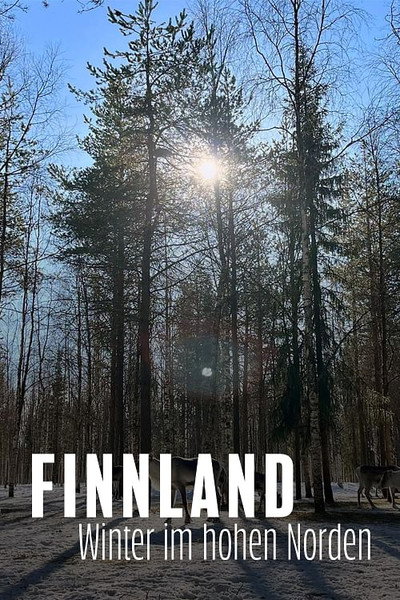 Póster de Finnland - Winter im hohen Norden