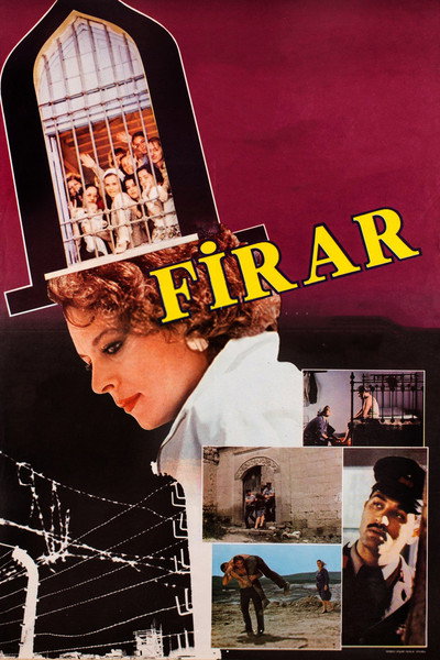 Póster de Firar