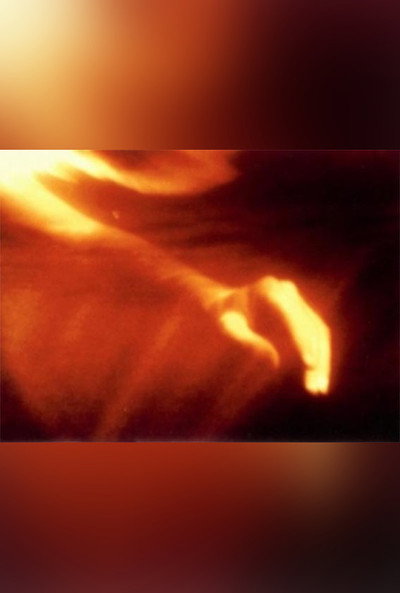 Póster de Fire Birth