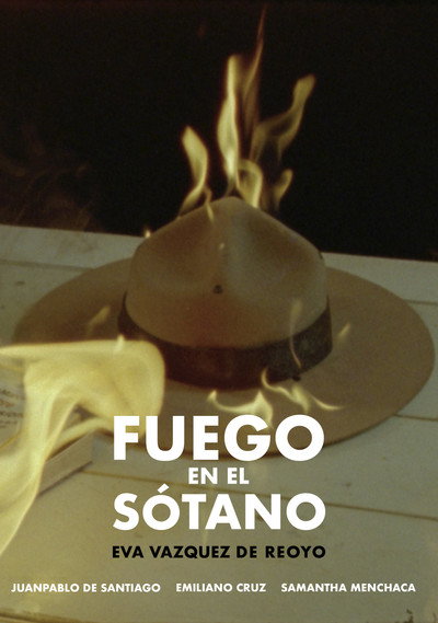 Póster de Fire in the Basement