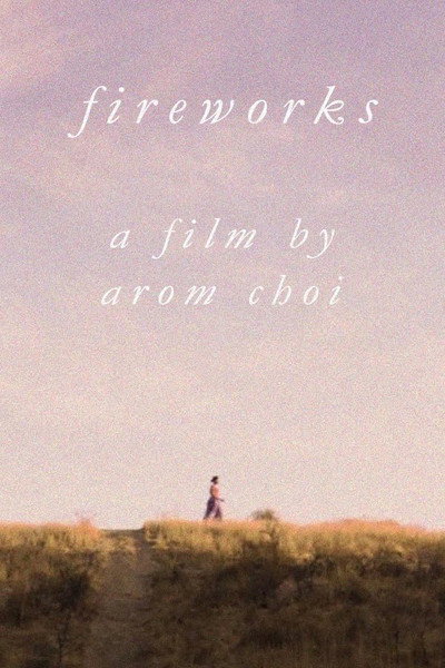 Póster de Fireworks