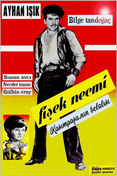Póster de Fisek Necmi
