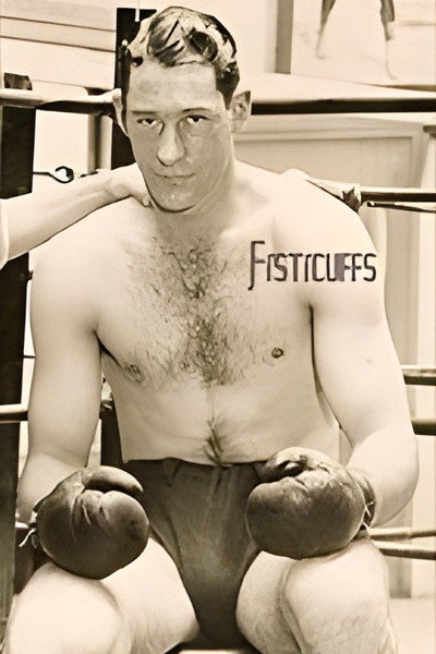 Póster de Fisticuffs