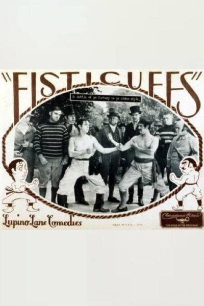 Póster de Fisticuffs