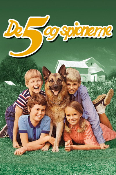 Póster de Five and the Spies