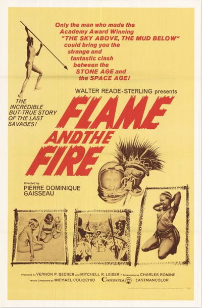 Póster de Flame and the Fire