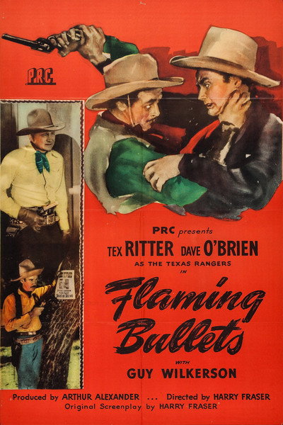 Póster de Flaming Bullets